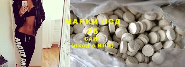 ПСИЛОЦИБИНОВЫЕ ГРИБЫ Алексеевка