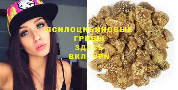 ПСИЛОЦИБИНОВЫЕ ГРИБЫ Алексеевка