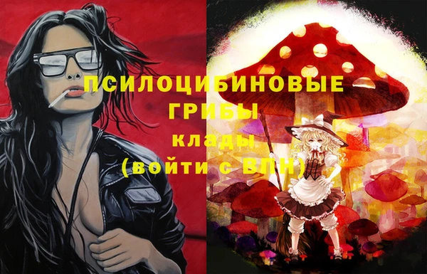 ПСИЛОЦИБИНОВЫЕ ГРИБЫ Алексеевка