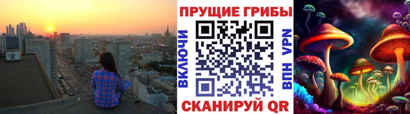где купить   Агрыз  Галлюциногенные грибы Psilocybe 