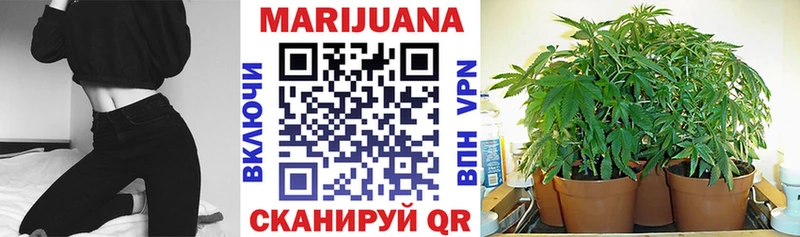 Бошки Шишки конопля  кракен tor  Агрыз  наркошоп 